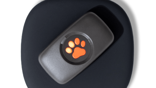 PitPat GPS Tracker